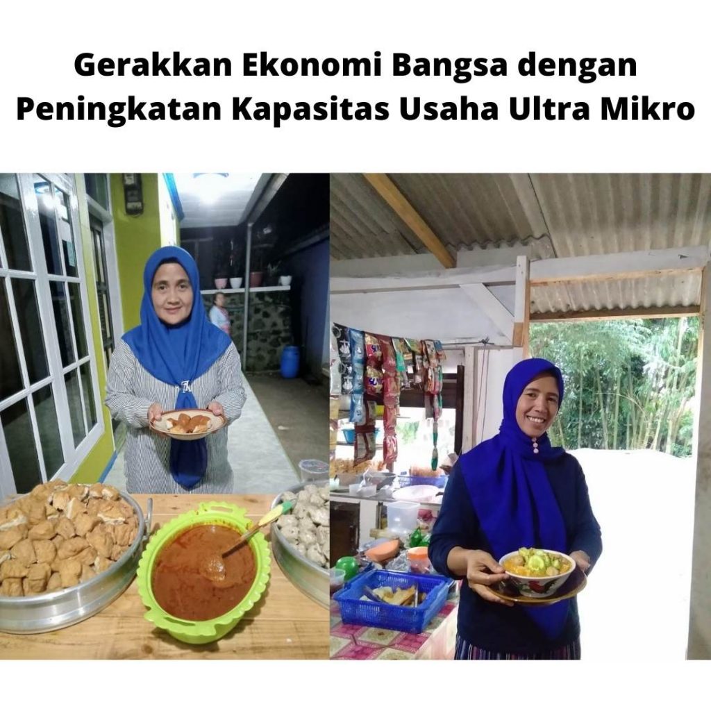 usaha mikro